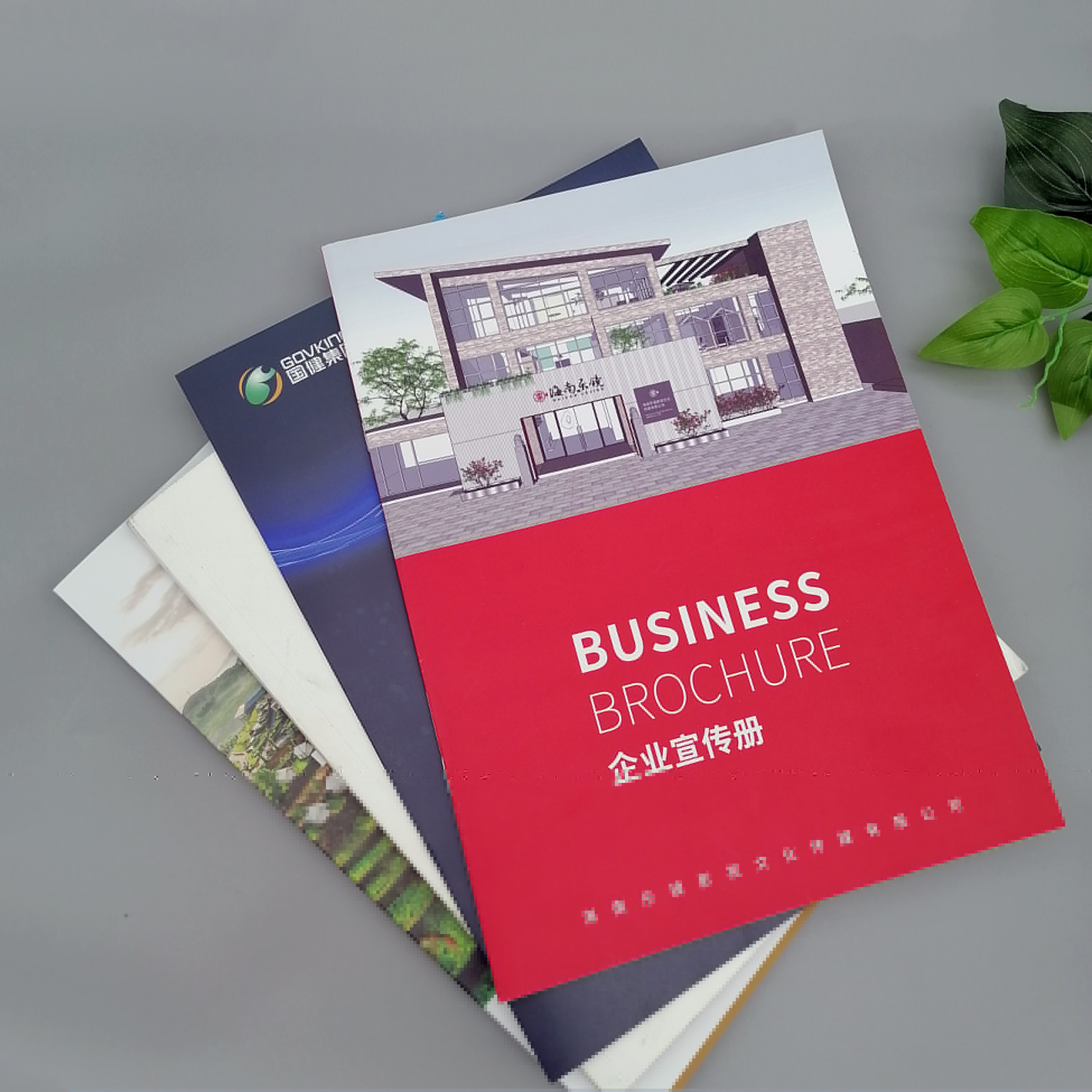 海口廣告、海口畫冊廣告(圖1)