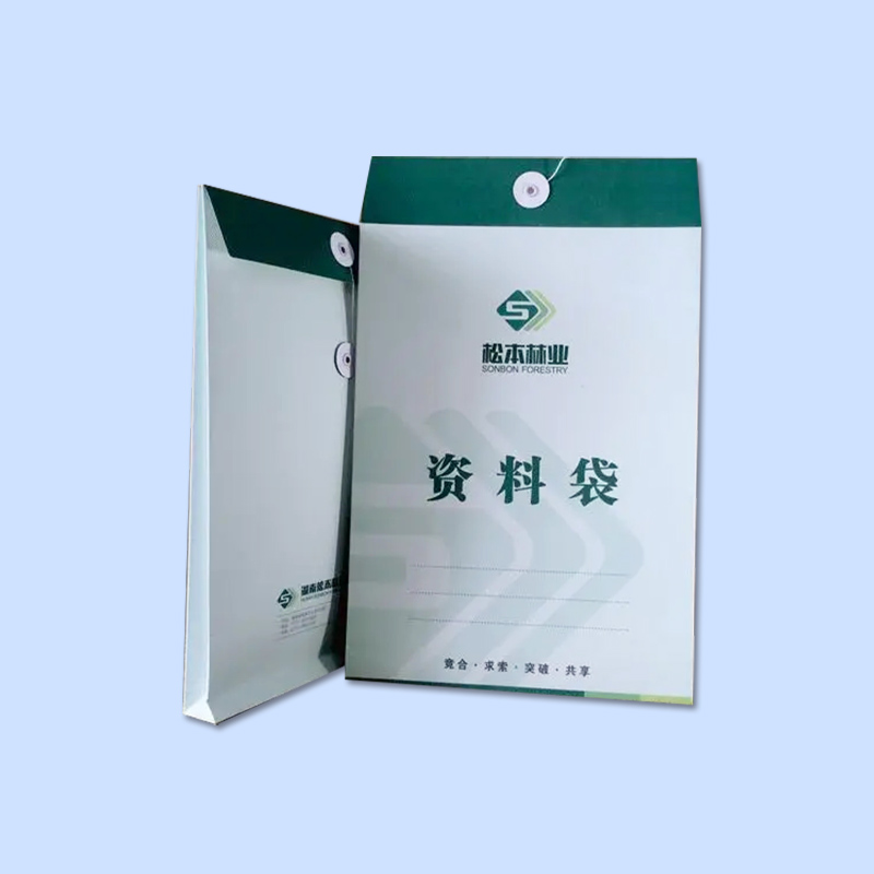 海南瓊海印刷廠 檔案袋印刷 訂制文件袋檔案袋印刷(圖1)